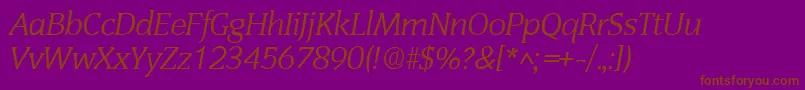 SenateItalic Font – Brown Fonts on Purple Background