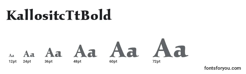 KallositcTtBold Font Sizes