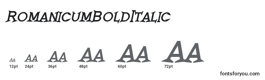 Größen der Schriftart RomanicumBoldItalic