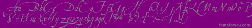 Aquiline-Schriftart – Graue Schriften auf violettem Hintergrund