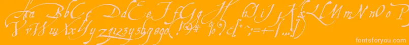 Aquiline-Schriftart – Rosa Schriften auf orangefarbenem Hintergrund