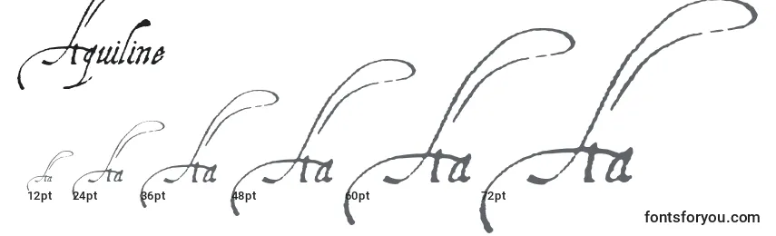 Размеры шрифта Aquiline