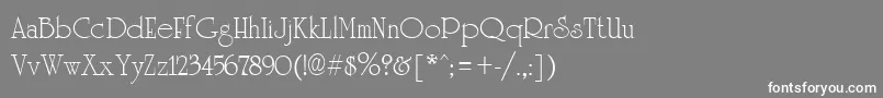 フォントUniversityRegular – 灰色の背景に白い文字