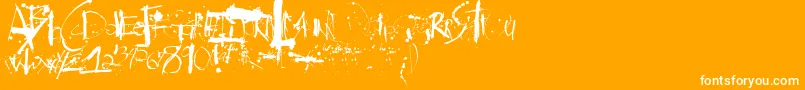 Steadman-Schriftart – Weiße Schriften auf orangefarbenem Hintergrund