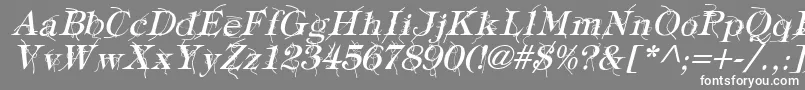 フォントTypographyTiesItalic – 灰色の背景に白い文字