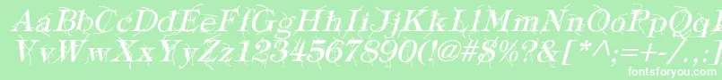 フォントTypographyTiesItalic – 緑の背景に白い文字