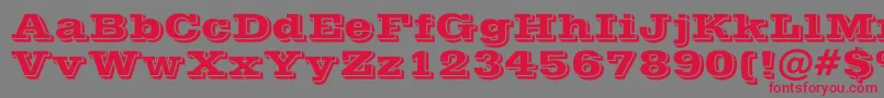 Vinera-Schriftart – Rote Schriften auf grauem Hintergrund