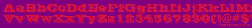 Vinera Font – Red Fonts on Purple Background