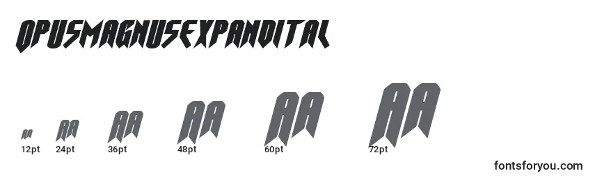 Opusmagnusexpandital Font Sizes