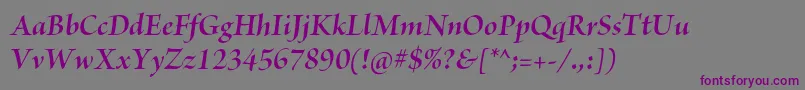 BriosoproBolditdisp Font – Purple Fonts on Gray Background