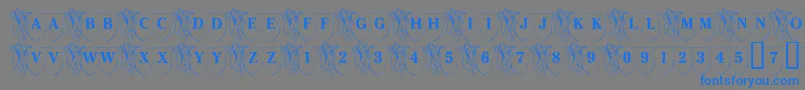 LmsFamilyShield-Schriftart – Blaue Schriften auf grauem Hintergrund