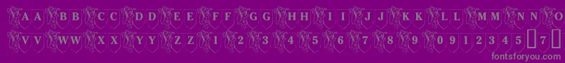 LmsFamilyShield Font – Gray Fonts on Purple Background