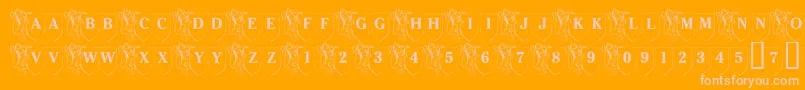 LmsFamilyShield Font – Pink Fonts on Orange Background