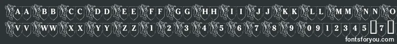 LmsFamilyShield Font – White Fonts