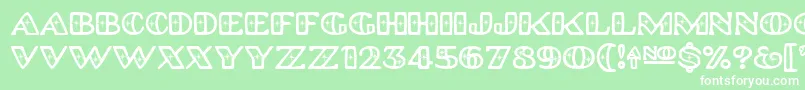 Platinumhubcapspolished Font – White Fonts on Green Background
