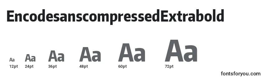Размеры шрифта EncodesanscompressedExtrabold