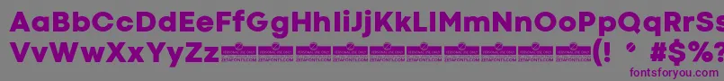 CodecColdHeavyTrial Font – Purple Fonts on Gray Background