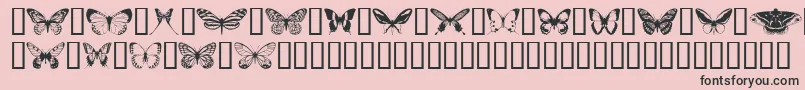 fuente Butterflips – Fuentes Negras Sobre Fondo Rosa