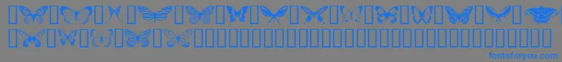 Butterflips Font – Blue Fonts on Gray Background