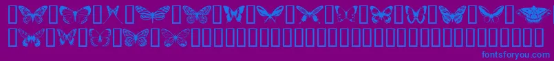 Butterflips Font – Blue Fonts on Purple Background