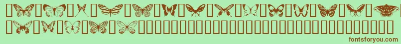 Butterflips-Schriftart – Braune Schriften auf grünem Hintergrund