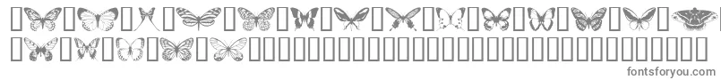 Шрифт Butterflips – серые шрифты