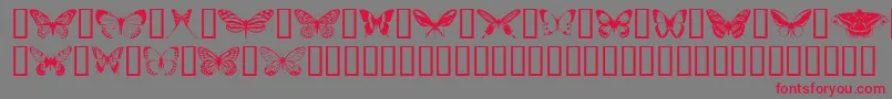 Butterflips-Schriftart – Rote Schriften auf grauem Hintergrund