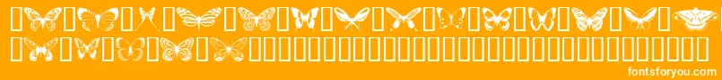 Шрифт Butterflips – белые шрифты на оранжевом фоне