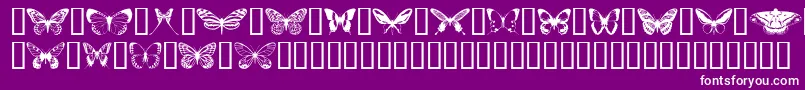 fuente Butterflips – Fuentes Blancas Sobre Fondo Morado