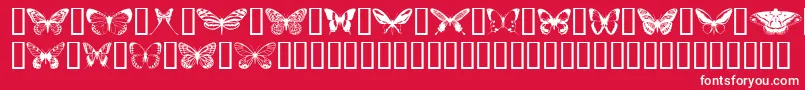 Butterflips Font – White Fonts on Red Background