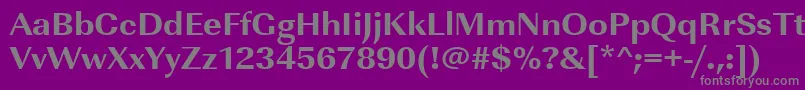 Czcionka Urwimperialtextbolwid – szare czcionki na fioletowym tle