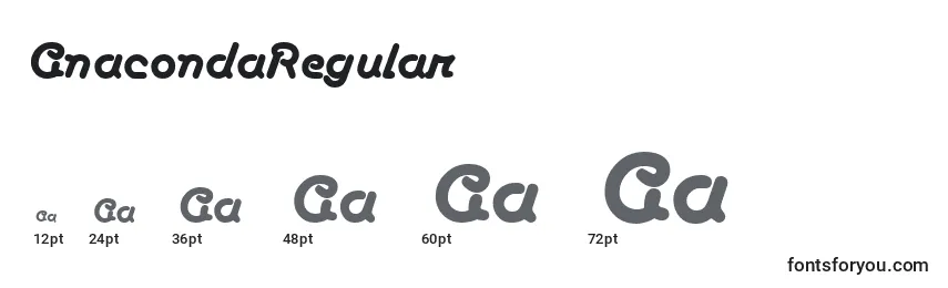 Размеры шрифта AnacondaRegular