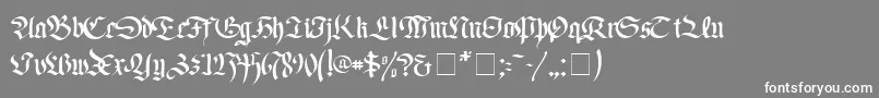 フォントFaustusNormal – 灰色の背景に白い文字