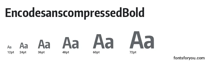 Размеры шрифта EncodesanscompressedBold