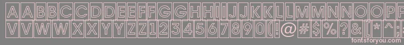 AAvantetitulcmotlBold Font – Pink Fonts on Gray Background