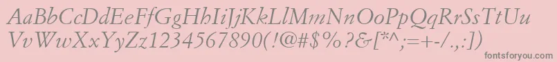 SimonciniGaramondLtItalic Font – Gray Fonts on Pink Background