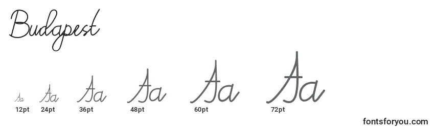 Размеры шрифта Budapest