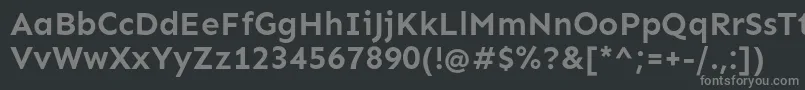 フォントSenBold – 黒い背景に灰色の文字