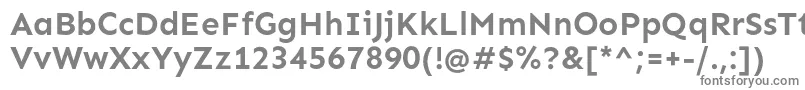 フォントSenBold – 白い背景に灰色の文字