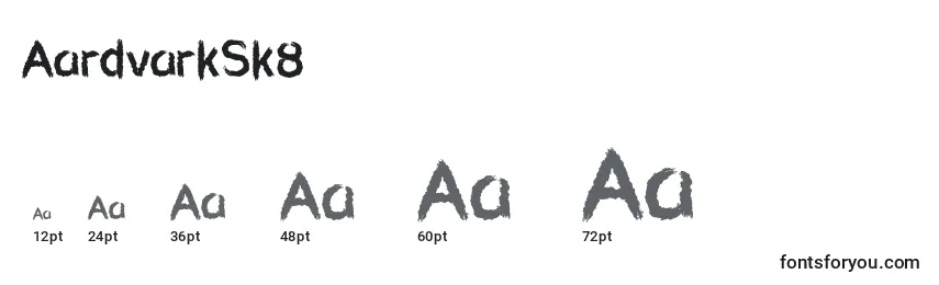 Размеры шрифта AardvarkSk8