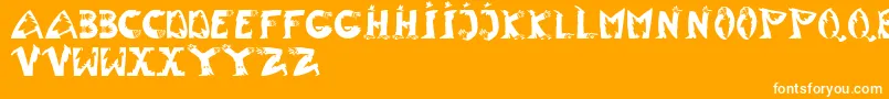 TypentypoLt-Schriftart – Weiße Schriften auf orangefarbenem Hintergrund