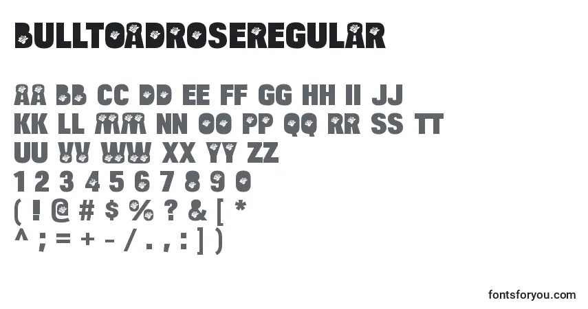 Czcionka BulltoadroseRegular – alfabet, cyfry, specjalne znaki