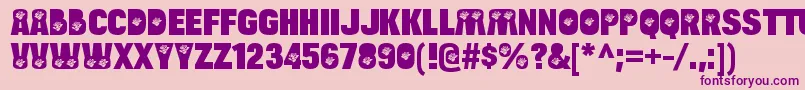 BulltoadroseRegular Font – Purple Fonts on Pink Background