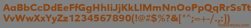 Urwgrotesktmedwid Font – Brown Fonts on Gray Background