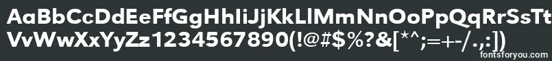 Urwgrotesktmedwid Font – White Fonts on Black Background