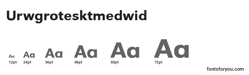 Размеры шрифта Urwgrotesktmedwid