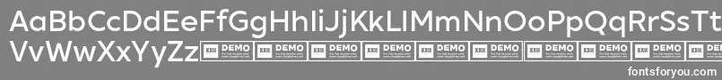 XxiigeomdemoMedium Font – White Fonts on Gray Background