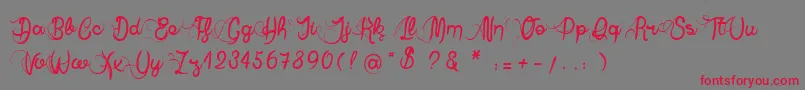 AnneExilum Font – Red Fonts on Gray Background