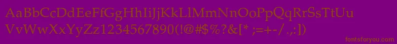 PalatinoThin Font – Brown Fonts on Purple Background