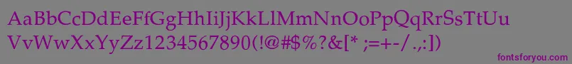Шрифт PalatinoThin – фиолетовые шрифты на сером фоне